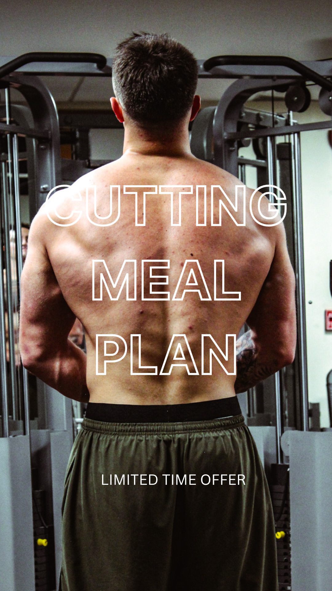 Cutting Meal Plan