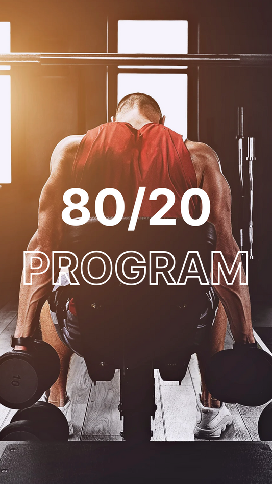 THE 80/20 PROGRAM