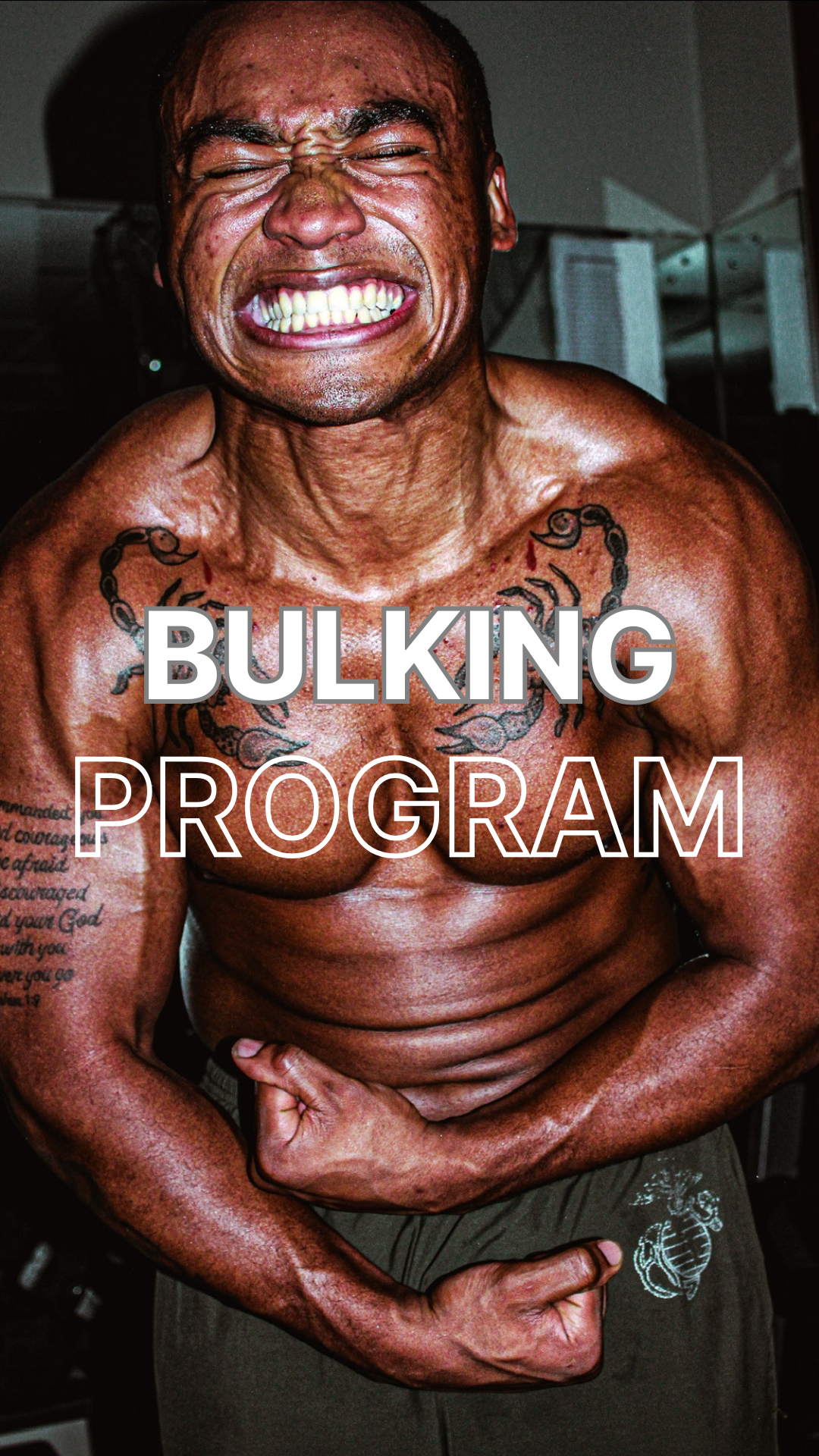 BULKING PROGRAM – MASREV