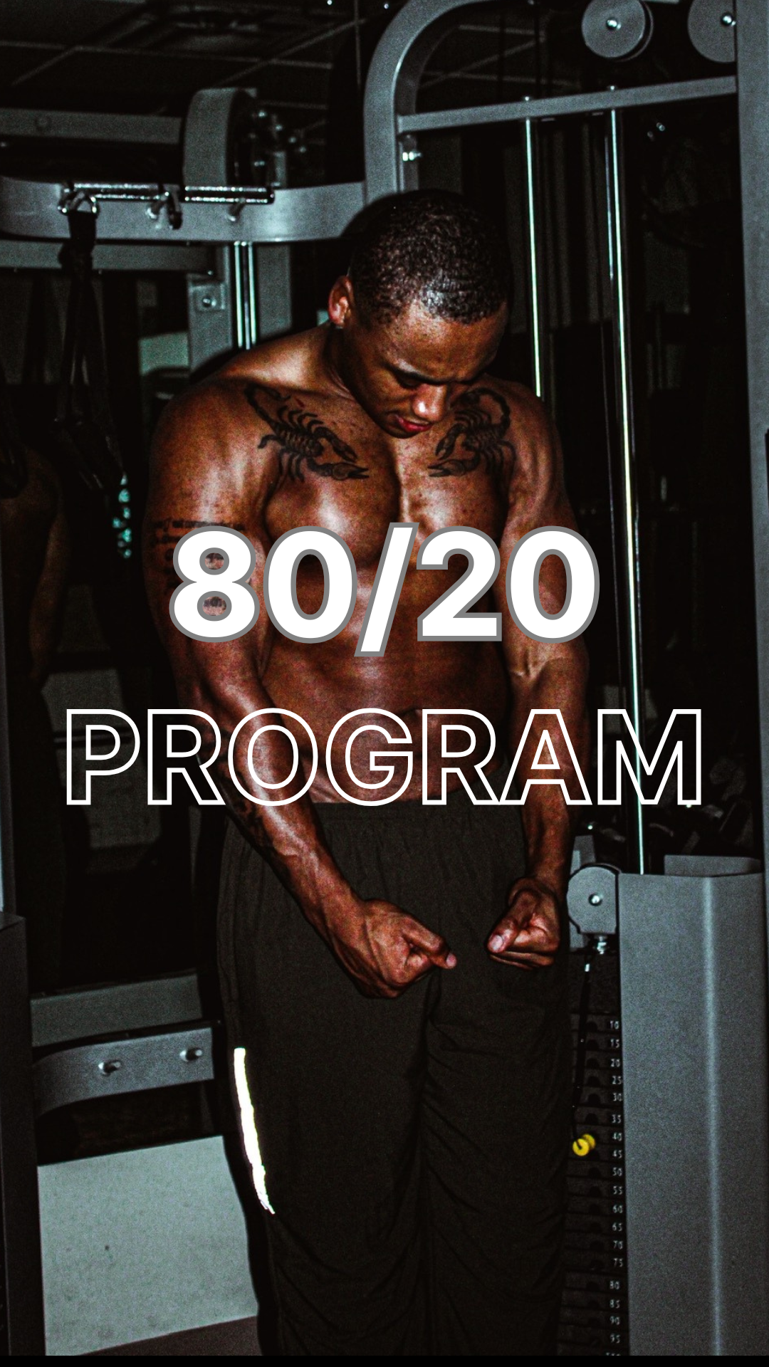 THE 80/20 PROGRAM